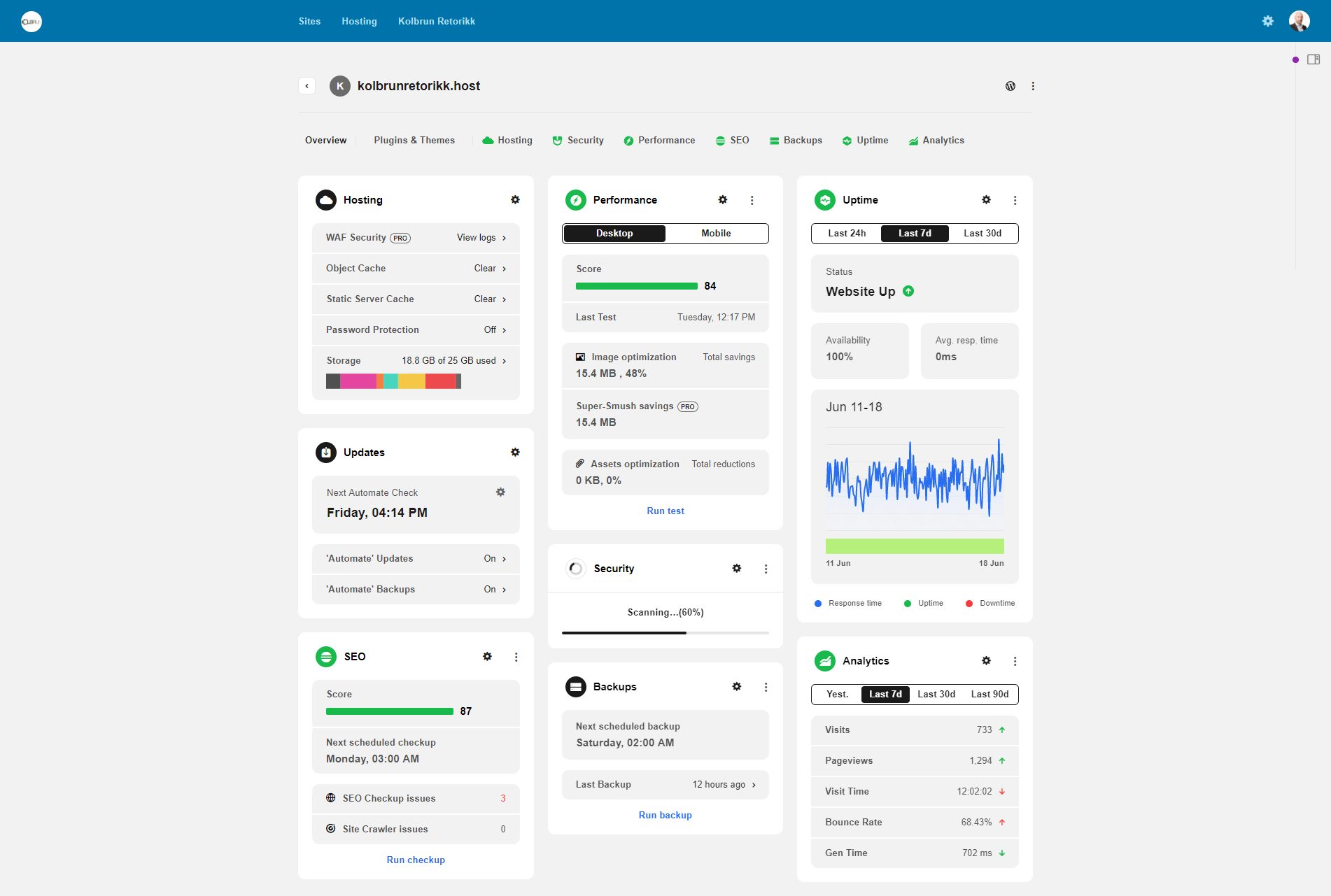 Screenshot 1 Hosting backend Kolbrun Retorikk hosting screenshot of backend overview